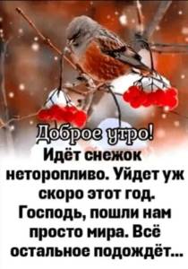 IMG-20241208-WA0018.jpg