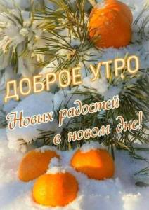 IMG-20241210-WA0008.jpg