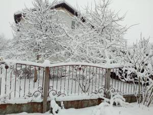 IMG_20241123_112854.jpg