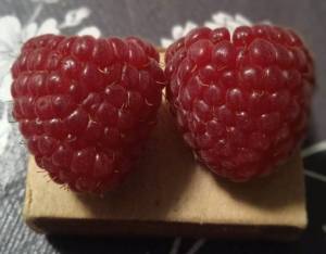 IMG_20241201_144033.jpg
