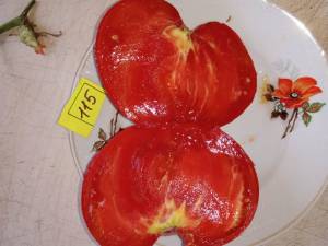 IMG_20241208_073235.thumb.jpg.36b80a82982c32efe1467cafec72f8f5.jpg