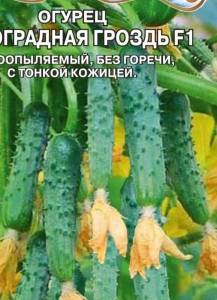 IMG_20241209_140420.thumb.jpg.b7bb1868dd4f054673266e32b7a323d9.jpg
