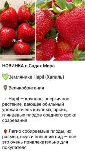 IMG_20241209_225603.jpg
