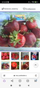 Screenshot_2024-12-12-23-18-31-032_com.yandex.browser.jpg