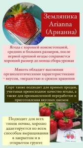 TNtJNJRN97A.jpg