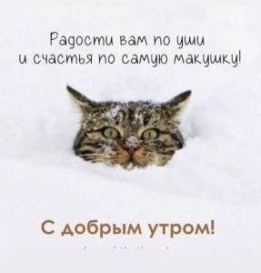 d7f46fe9aafc53734a985d3b9945a3ff.thumb.jpg.c568b0ebb04984abb1474e8194b10075.jpg