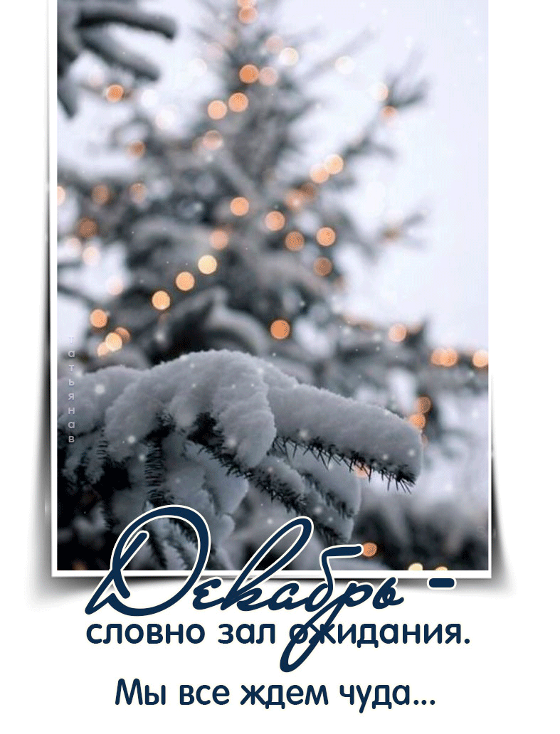 dbac14b0a12025f236372dfaf3a04c92.gif