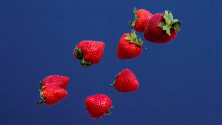 e3e8f6a4e0098a3cd8615f732ezq.gif