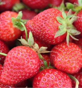 fraisier-manon-des-fraises.thumb.jpg.d1101bcf2cf069dbb828b10aace1309f.jpg