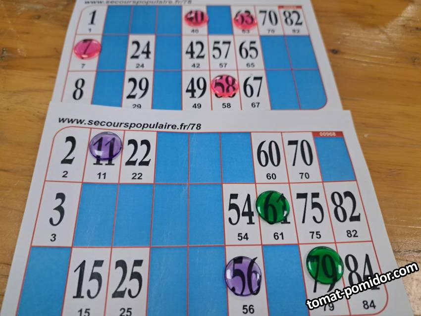 large.Loto_17_11_24_compress3.jpg.6bf9fd87f0638758c1130716c57bb868.jpg