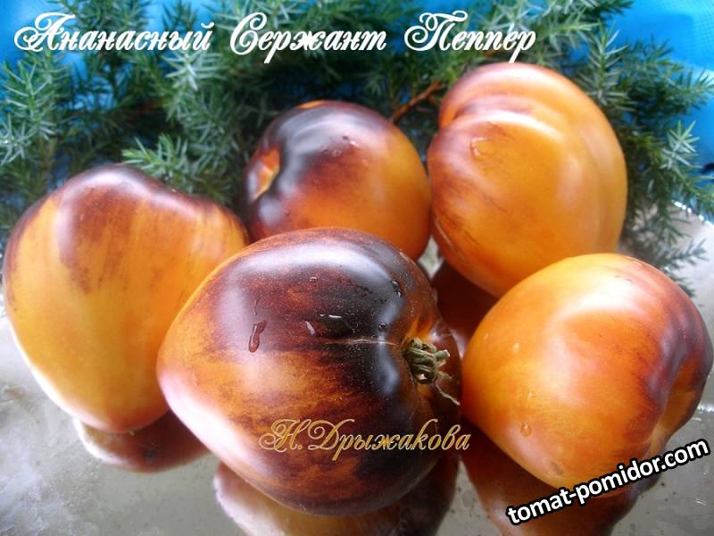 2024 ГОД ДРАКОНА. НОВЫЕ СОРТА.