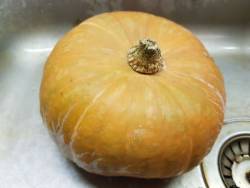 Мияко