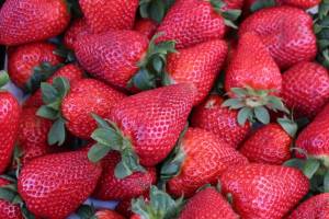 strawberry-03.thumb.jpg.aea554b648f42c00d0f62ede8676eaa5.jpg