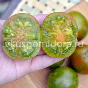 1688437160_tomat-gnom-tancuyushchaya-gadyuka(3)-900x900.thumb.jpg.8d9cdcd42408cbae8f211e21e20517e2.jpg
