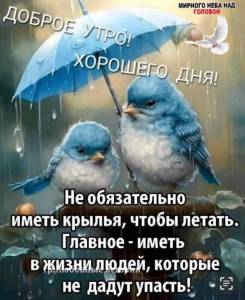 IMG-20250112-WA0012.jpg
