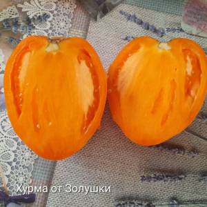 IMG-20250113-WA0004.jpg