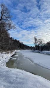 IMG_2060.jpeg
