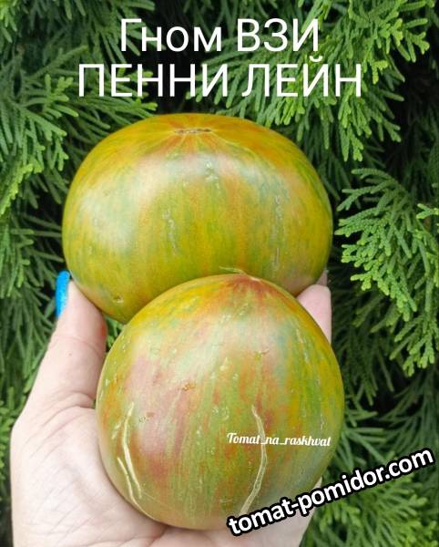 1000014837.jpg