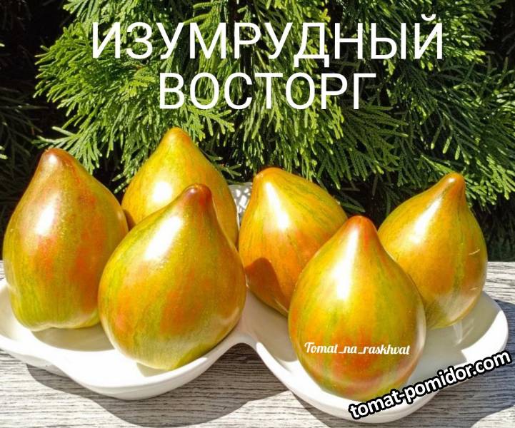 1000027712.jpg