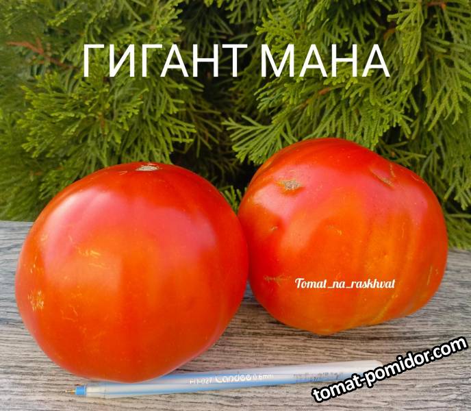 1000030338.jpg