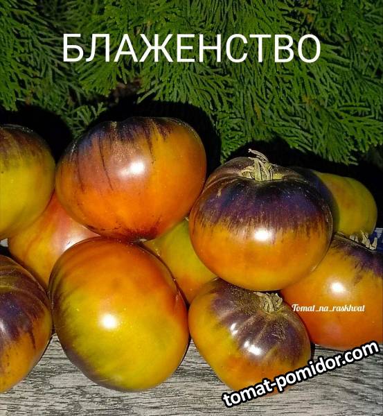 1000030362.jpg