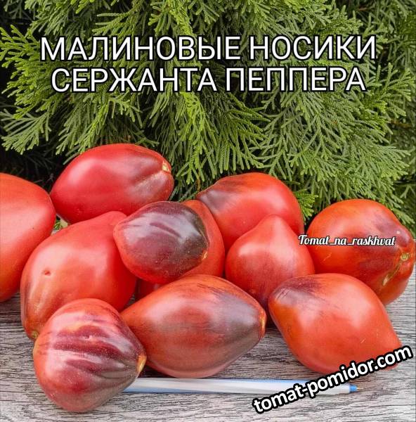 1000030757.jpg