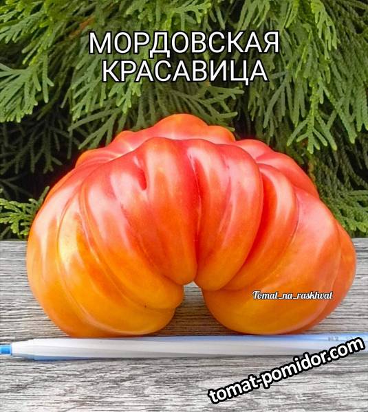 1000030762.jpg