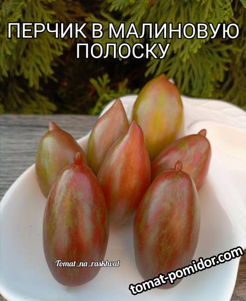 1000031041.jpg