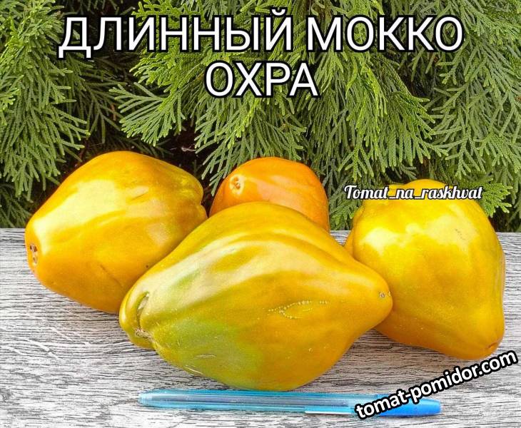 1000031048.jpg