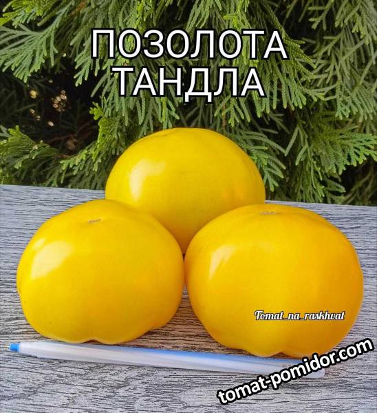 1000032006.jpg