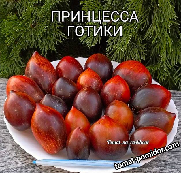 1000032630.jpg