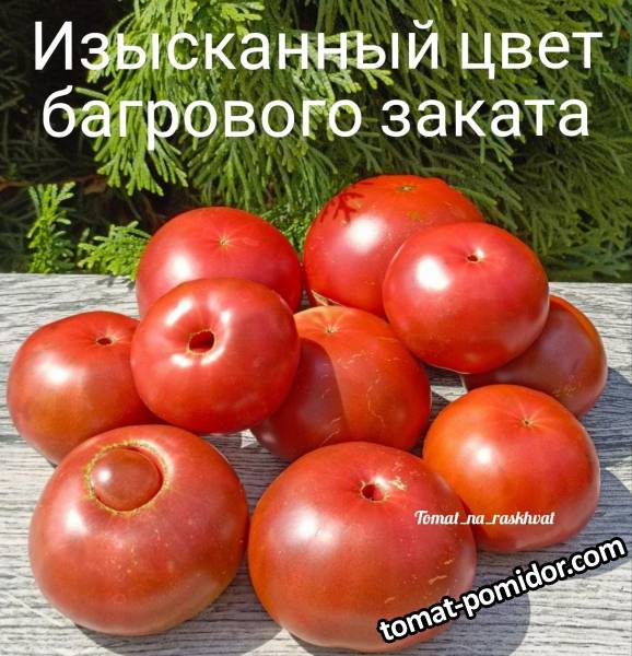 1000014839 (1).jpg