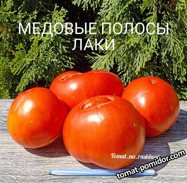 1000029837 (2).jpg