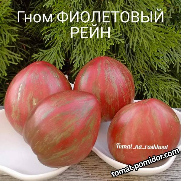 1000028168 (1).jpg