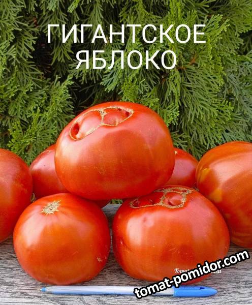 1000030095 (1).jpg