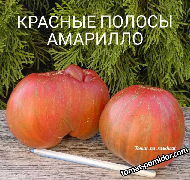 1000030336 (1).jpg