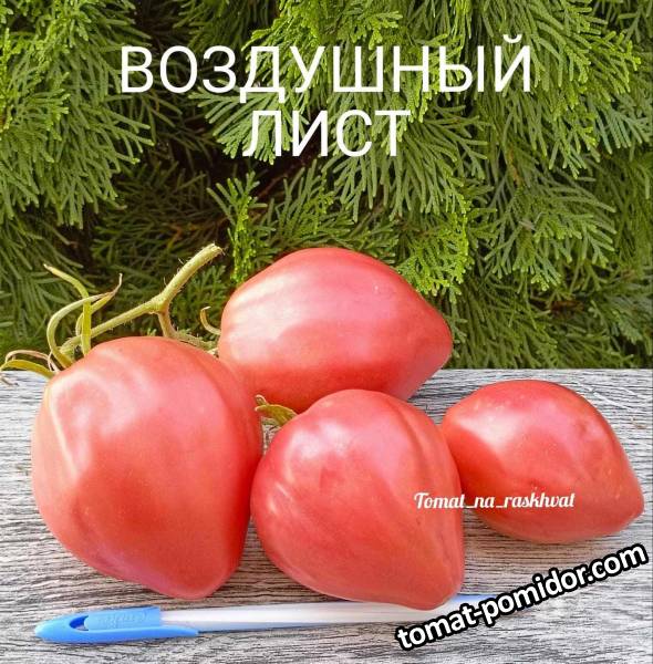 1000030055 (1).jpg