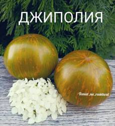 1000013667.jpg