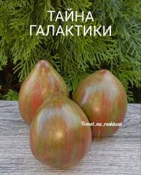 1000014137.jpg