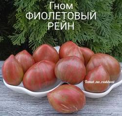 1000014661.jpg
