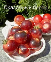 1000029840.jpg