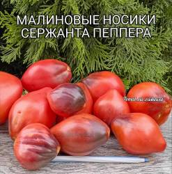 1000030757.jpg