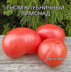 1000030759.jpg