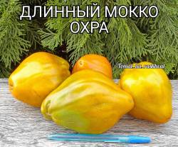 1000031048.jpg