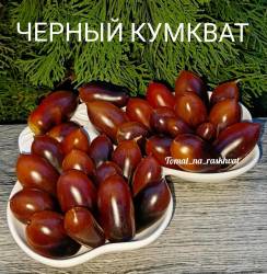 1000014662 (1).jpg