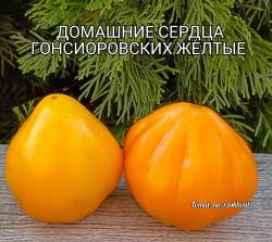 1000031062 (1).jpg