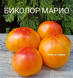 1000014657 (1).jpg