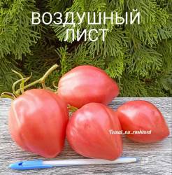 1000030055 (1).jpg