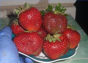 IMG_20250202_134716.jpg