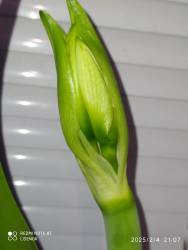 IMG_20250204_210744.jpg